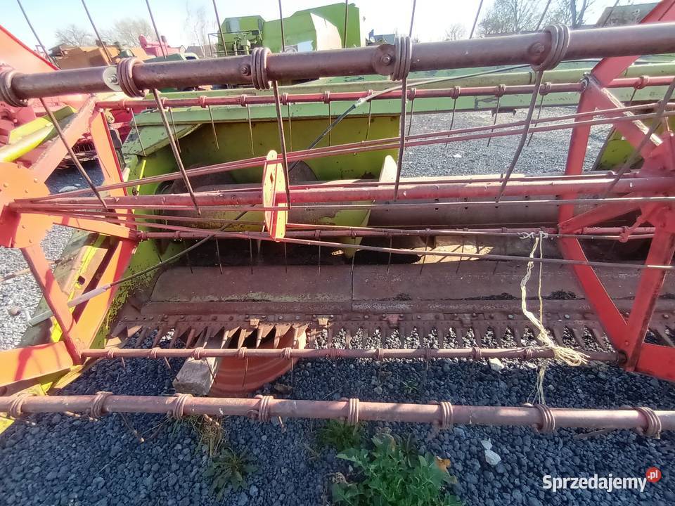 Heder Claas Mercator Senator Protector Dominator Ostrowiec Świętokrzyski