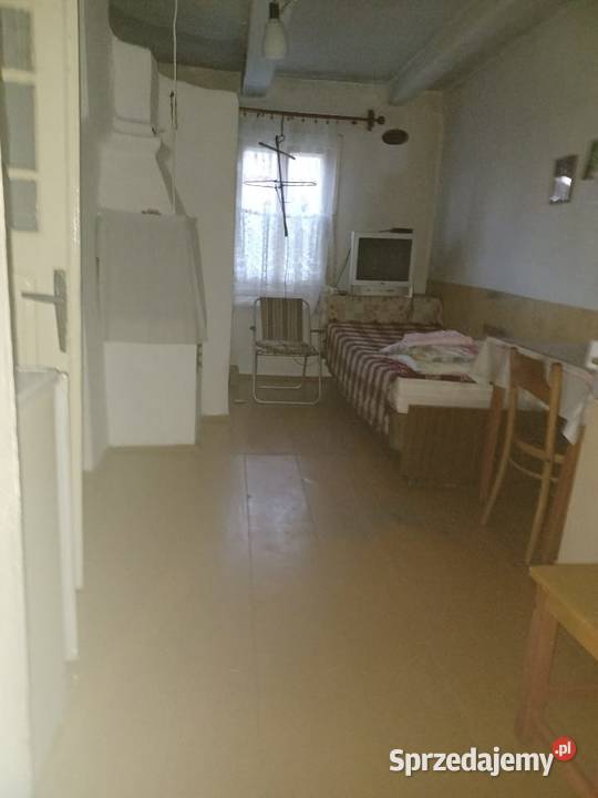 Sprzedam siedlisko w Wolicy Brzozowej Kolonia 11000m2 Sprzedaż Wolica Brzozowa-Kolonia