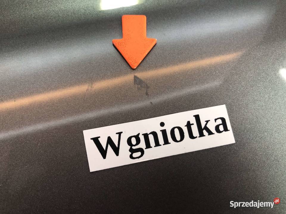 Renault Grand Scenic II 05r Drzwi tył tylne lewe Skarżysko-Kamienna sprzedam