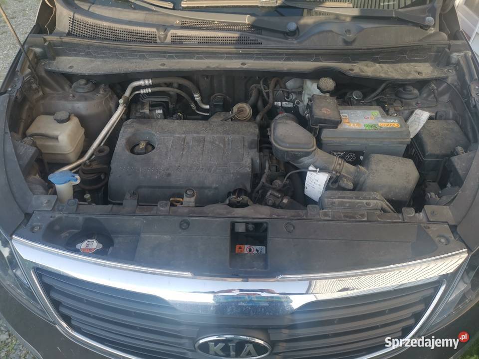 Kia sportage III 17 CRDI Diesel 116 bez dwumasy manualna Sportage Albigowa