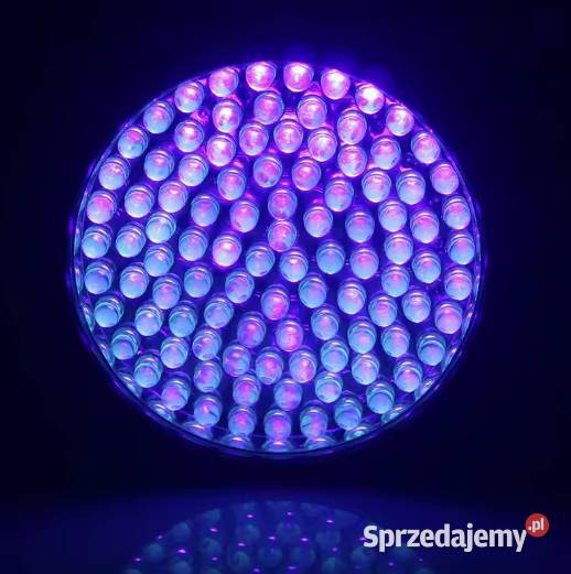 LATARKA TAKTYCZNA NA BATERIE Oświetlenie UV 128 Nowy Sącz