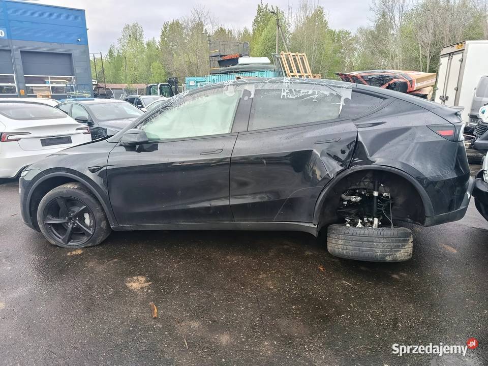 TESLA MODEL Y Long Range Allwheel Drive 2021 378 Motoryzacja Warszawa