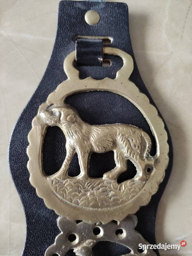 Mosiężne ozdoby do końskiej uprzęży Akcesoria dla zwierząt Janów Lubelski