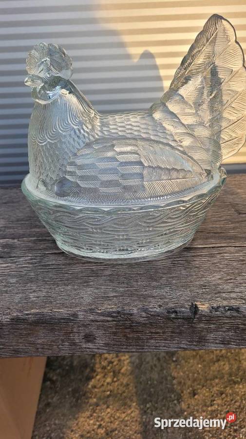 Duża kura prl Ciechanowiec sprzedam