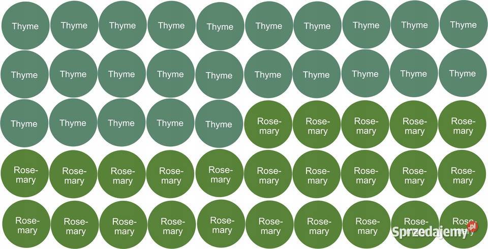 Etykiety naklejki na olejki eteryczne 2x25 Kamionna