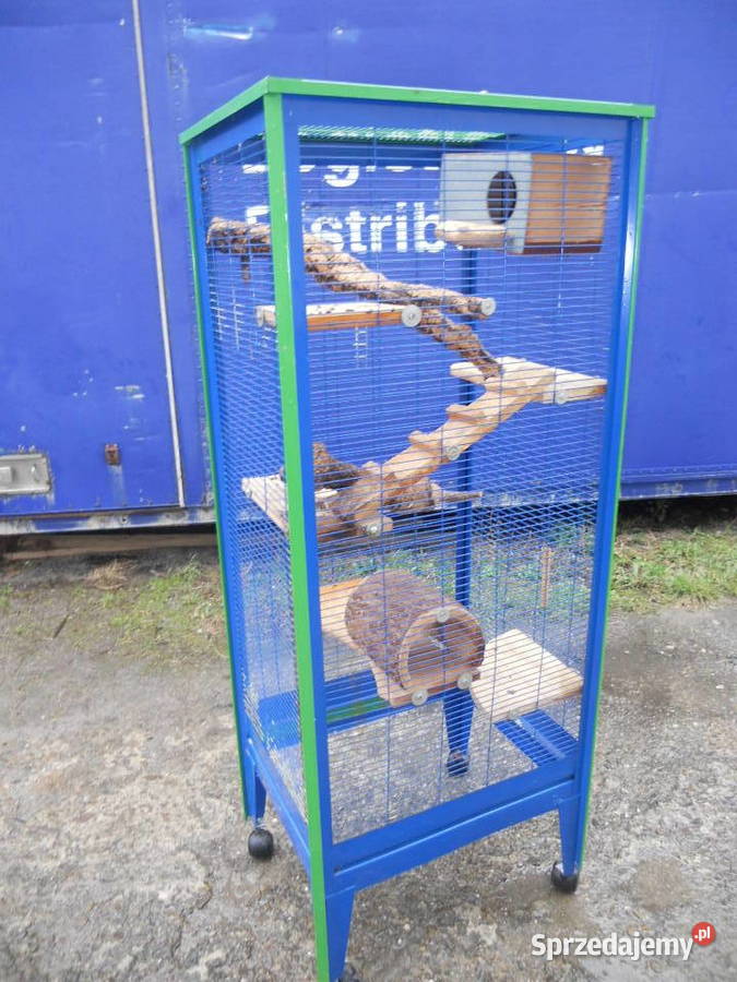 Duza klatke ptakow papugi Gryzoni Dębica