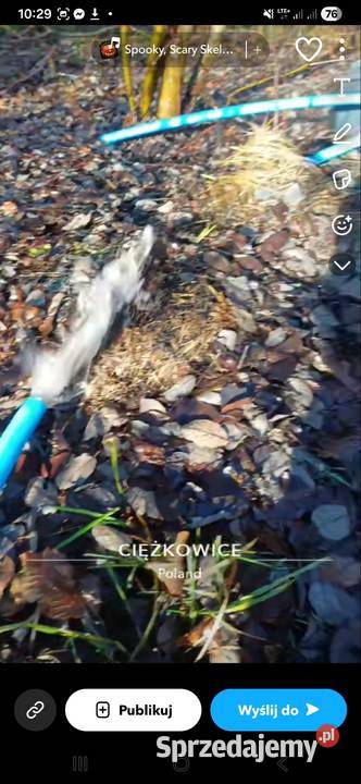 Czyszczenie i Chlorowanie Studni Głębinowych Instalacje wodne i kanalizacyjne małopolskie Czermna