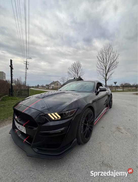 Ford Mustang 23 Ecoboost Siedliszcze