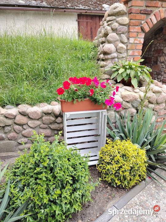 Drewniane Skrzynki Ozdobne na Kwiaty Kwietnik Blizanów Drugi sprzedam