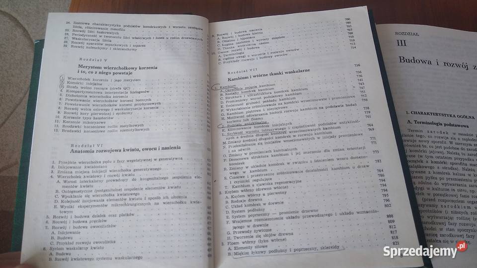 Anatomia i histogeneza roślin naczyniowych 12 Gdańsk sprzedam