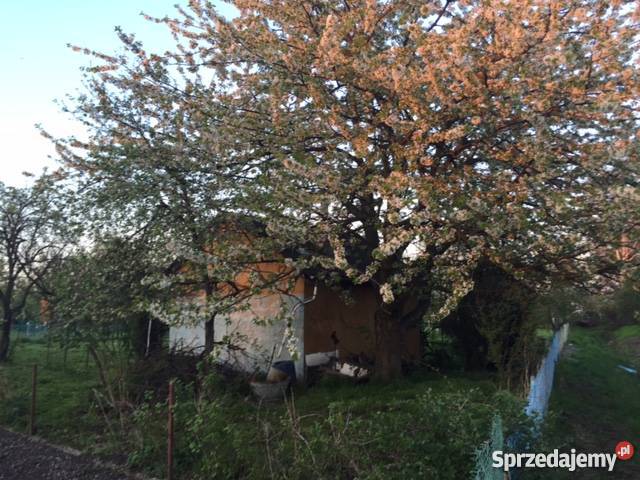 Sprzedam działkę ROD Cicha Dolina sprzedam