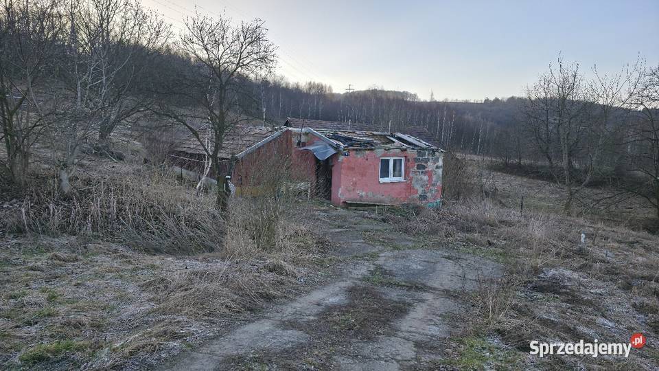 Dom ze Stodołą i Stajną 190 ha Woźniczna