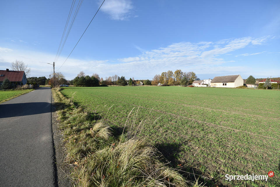 Duża działka budowlana 9051 m Turawa Marszałki opolskie