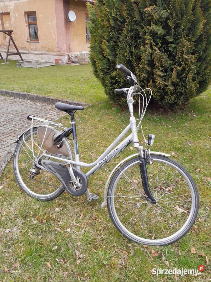 Gazelle z Holandii Korbielów
