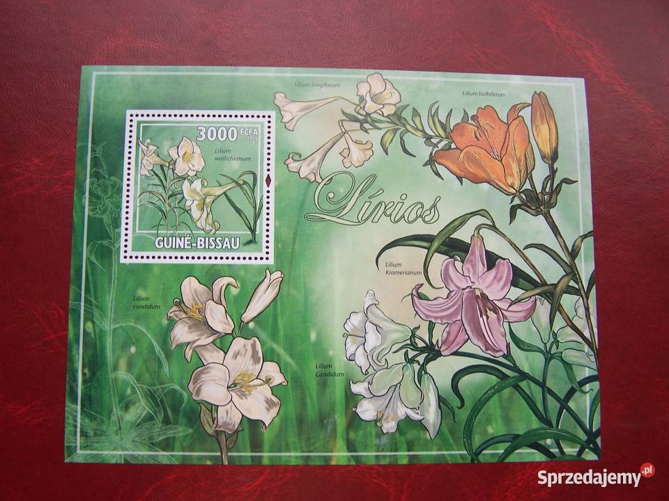 Gwinea Bissau 2009 MNH Flora Kwiaty śląskie Tychy
