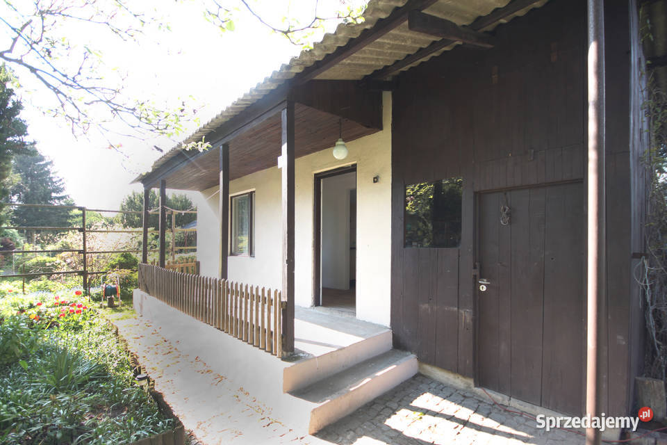 Zadbana działka ROD Ławica