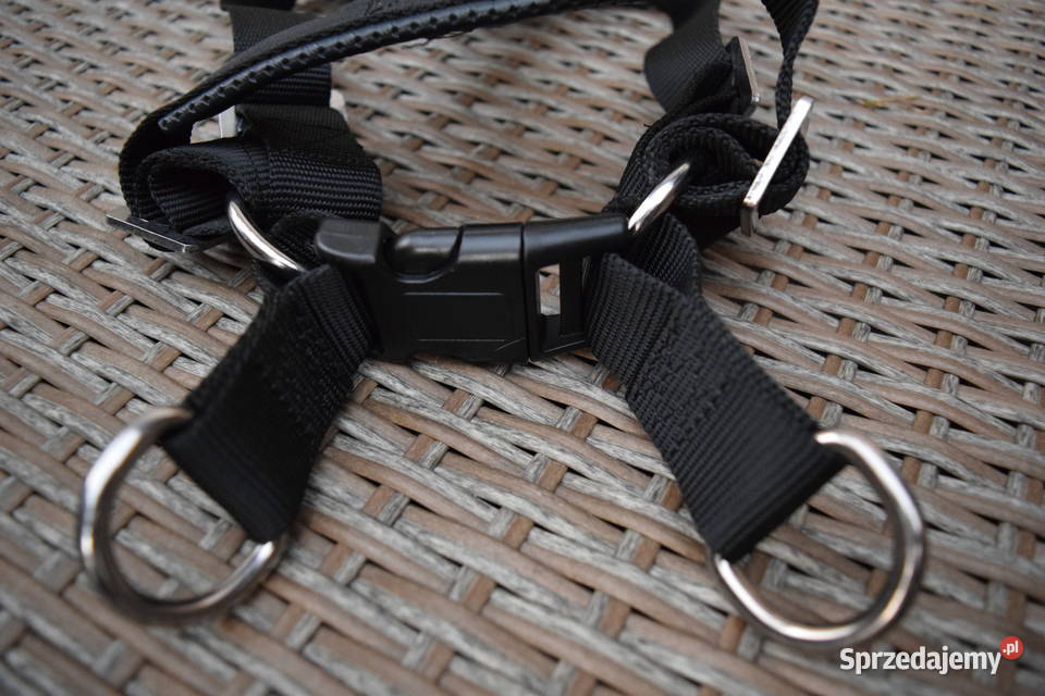 Szelki Psa Nowe Solidne Rozmiar S Okazja Olsztyn Dla psów sprzedam