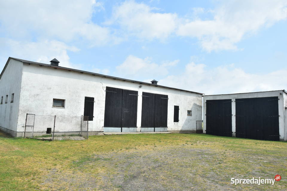 Dom zabudowania gospodarcze magazynowe Wymokłe