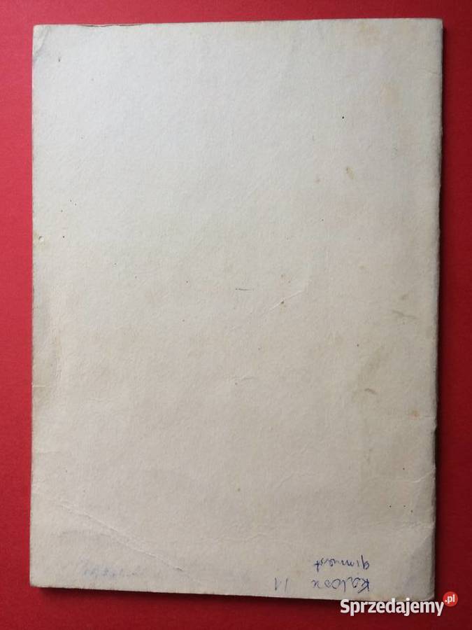 383 Harcerstwo Polskie W Szczecinie W Latach Szczecin