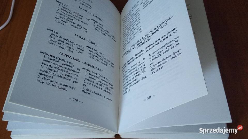 Pułapki leksykalne słownik aproksymatów Książki naukowe i popularnonaukowe Gdańsk