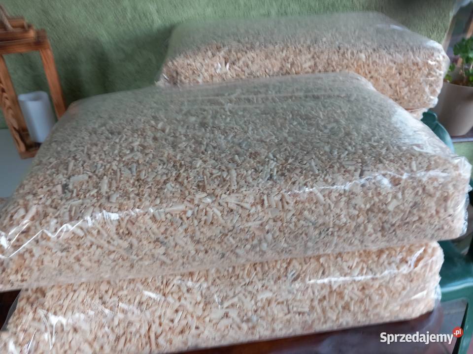 trociny chomika królika Nowe Miasto Lubawskie