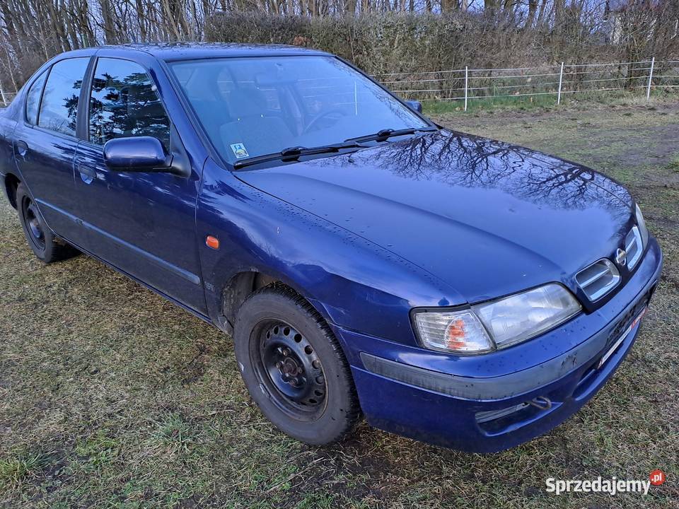 Nissan Primera P11 96r 16B SLX z Niemiec Myślibórz sprzedam