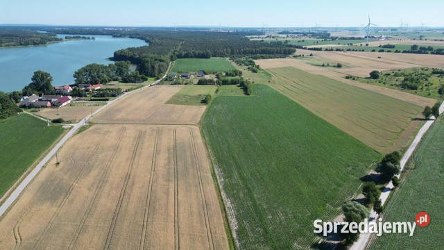 Duże działki Jeziora Margonin Sprzedaż Sypniewo sprzedam