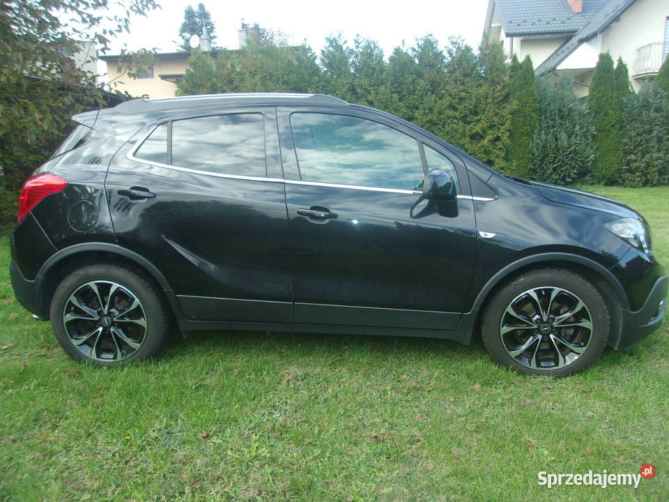 Piękna Mokka benzyna mazowieckie Radom