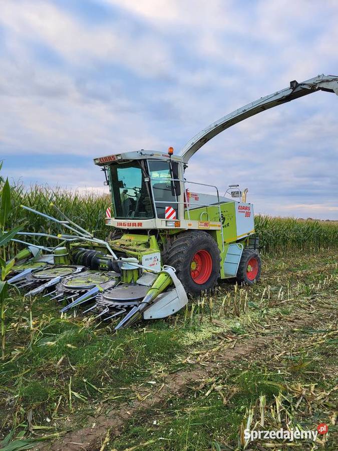 Sieczkarnia Claas Jaguar 880 Automatyczne ostrzenie noży sprzedam