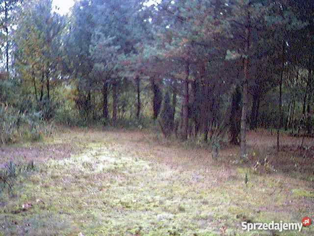 PROMOCYJNA Piekne działki rekreacja na Jurze Grunty i działki Jaworznik