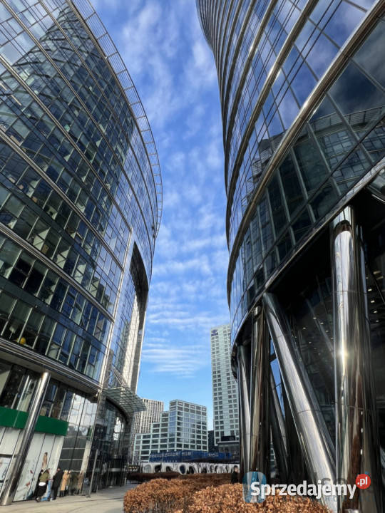 wynajmu lokalu Warszawa 50m2