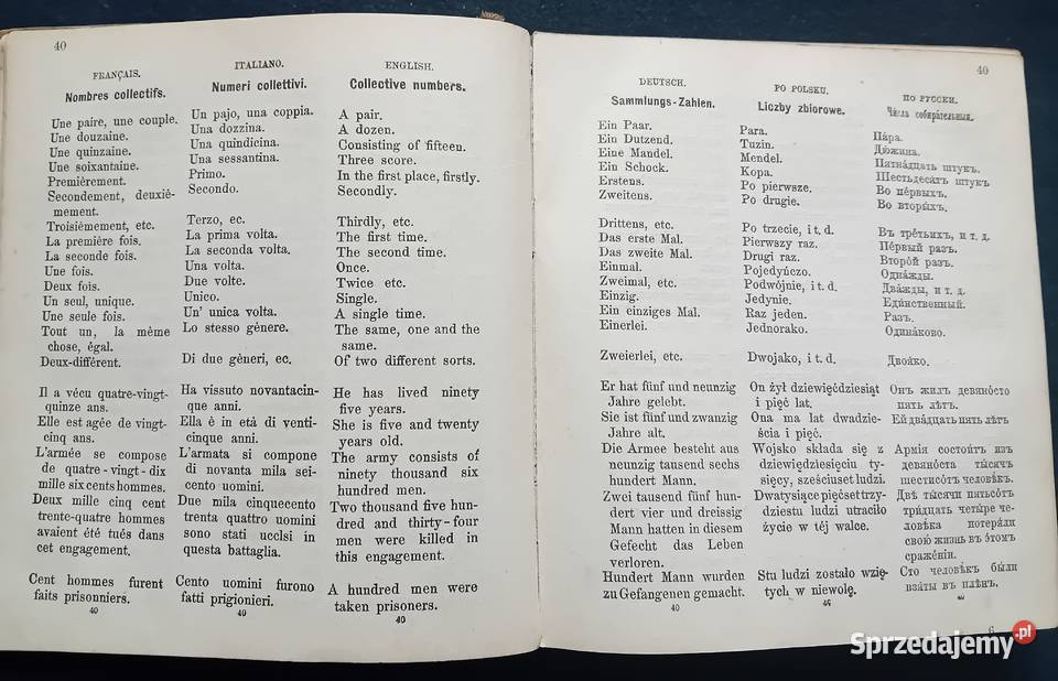 Nouveau Guide de Conversations Modernes BBehrs Koźminek sprzedam