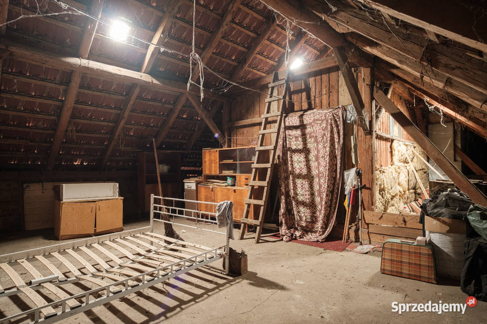 Dom na wsi z dużą działką i ogrodem Dalborowice 99m2 sprzedam