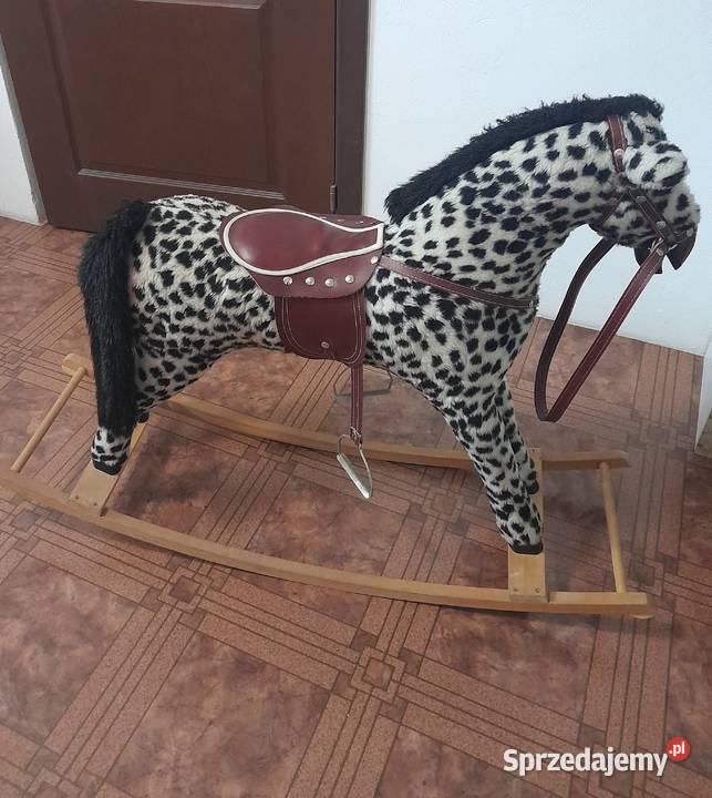 Konik na biegunach promocja