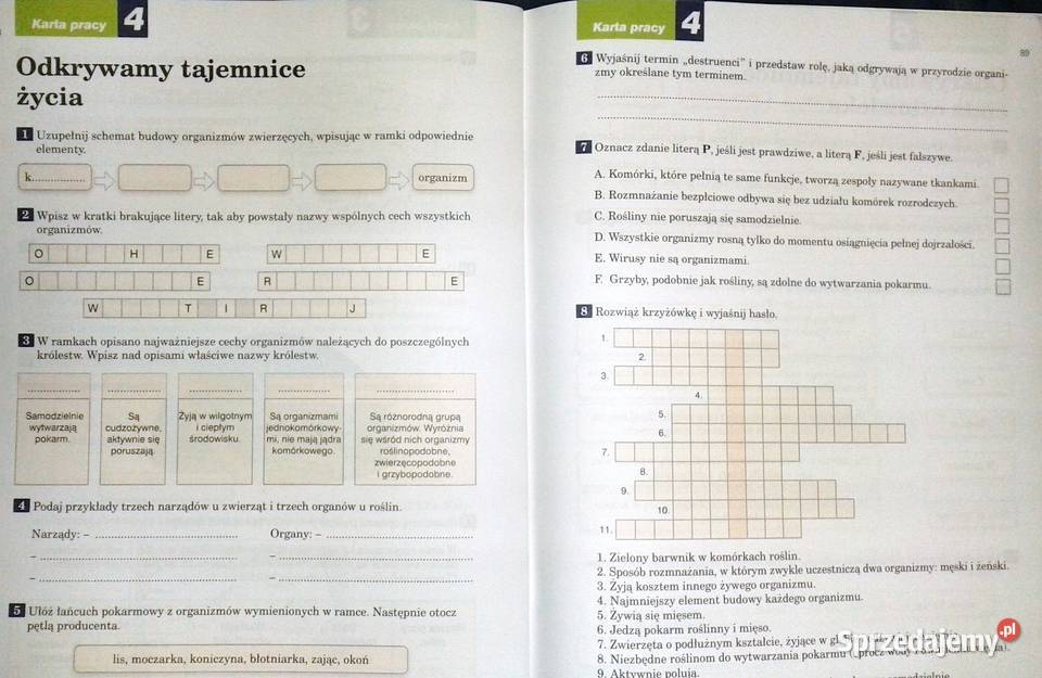 Tajemnice przyrody 4 Przewodnik nauczyciela miękka Chełm