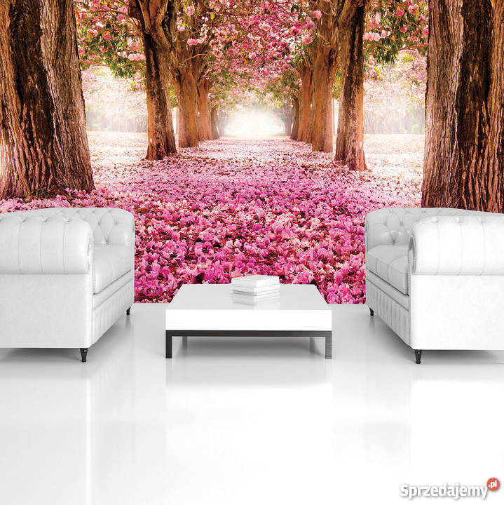 Tapeta fototapeta Różowa Alejka Leszno