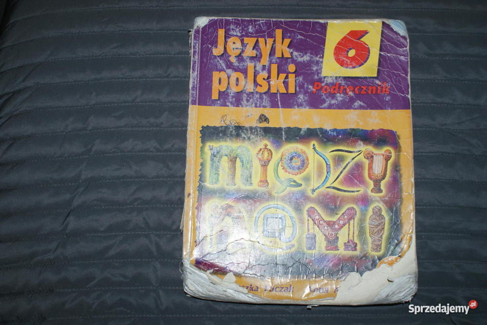 Podręczniki Do Polskiego Klasa 6 PODRĘCZNIK DO JĘZYKA POLSKIEGO - KLASA 6 - MIĘDZY NAMI - Sprzedajemy.pl
