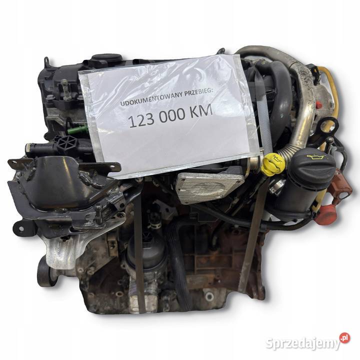 SILNIK G6DB Ford C C 20 TDCI 136 G6DA G6DD G6DG Silniki kompletne lubelskie Chełm