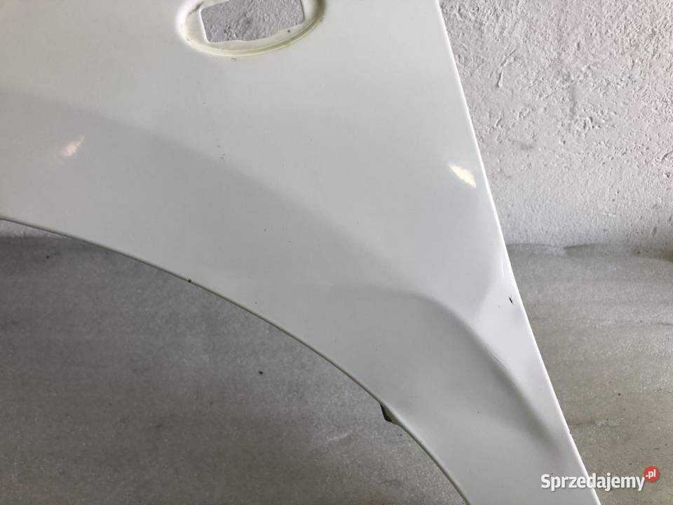 BŁOTNIK LEWY PRZÓD PEUGEOT PARTNER III BERLINGO