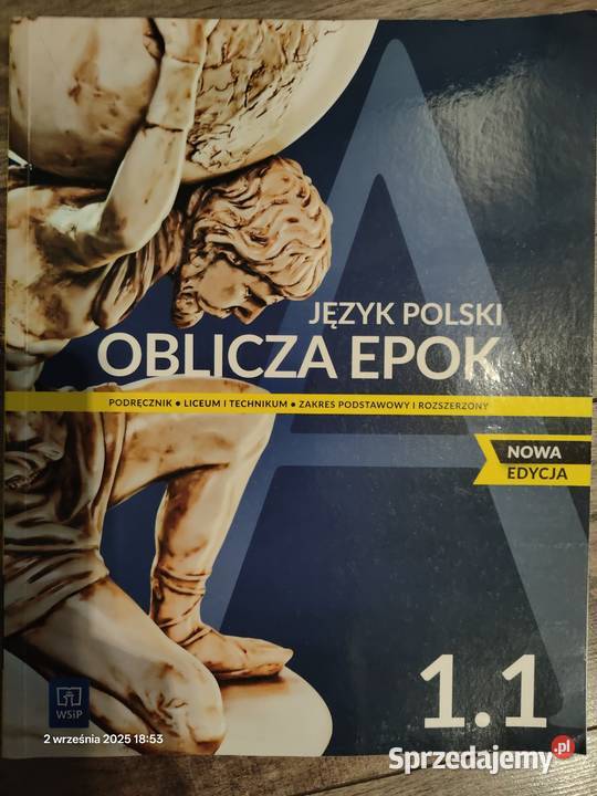 Książki do technikum klasa 1 język polski Polkowice