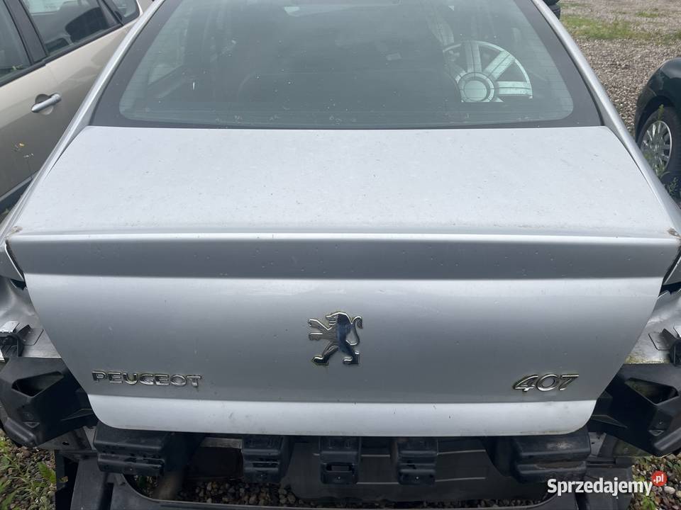 Wentylator dmuchawa Peugeot 407 Poznań