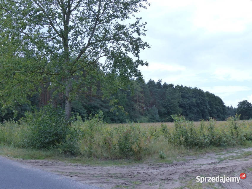 Działki rolnobudowlane k Płocka Lipna Małomin