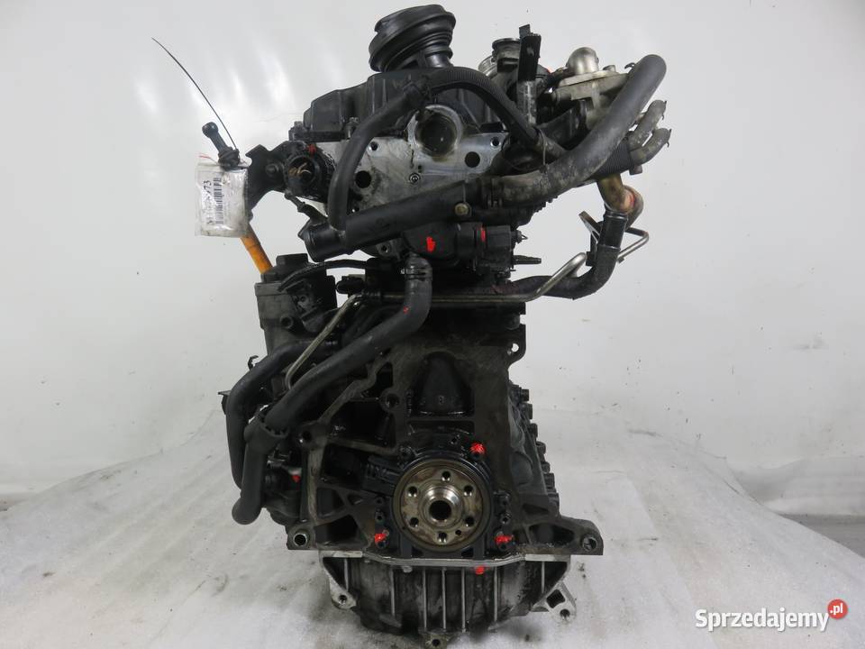 SILNIK VW GOLF V 19 TDI 105 BKC 038130073AG osobowe małopolskie