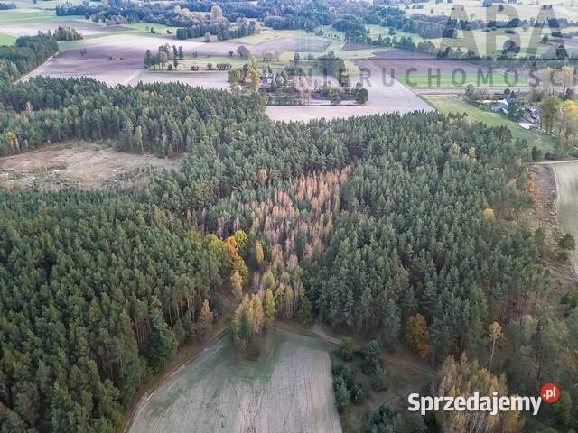 Działka rolna na sprzedaż Myślibórz gm Golina wielkopolskie