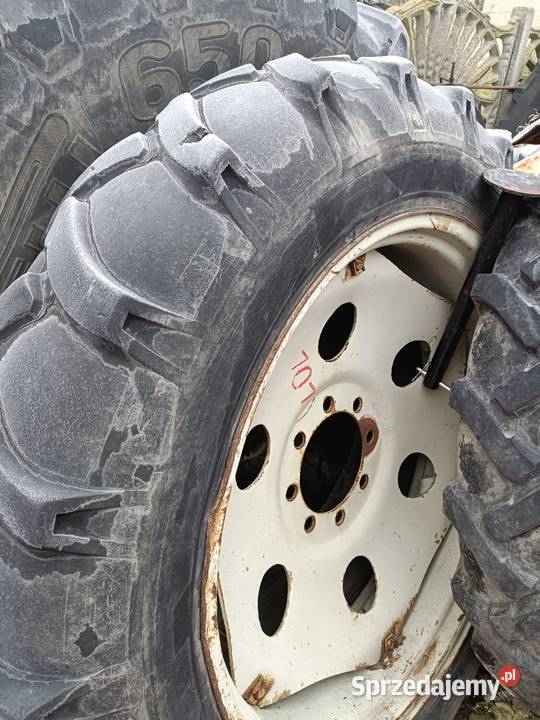 Koła 12438 Włocławek