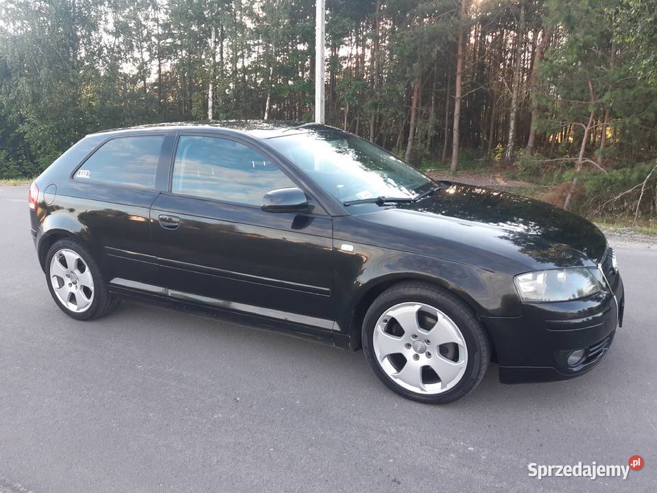 Audi A3 8P 19 TDI lubelskie Lubartów