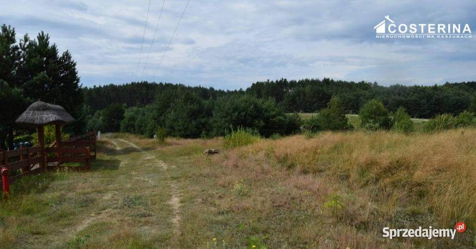 Działka do sprzedania 1147m2 Dziemiany 1147m2 Sprzedaż pomorskie