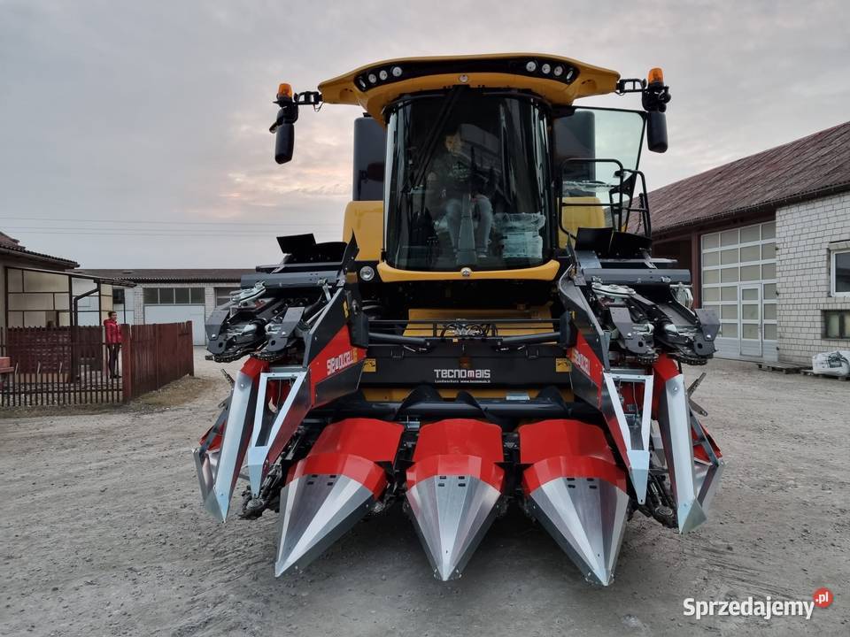 Przystawka do kukurydzy TECNOMAIS 5 rzędowa nieuszkodzony Gołaczewy