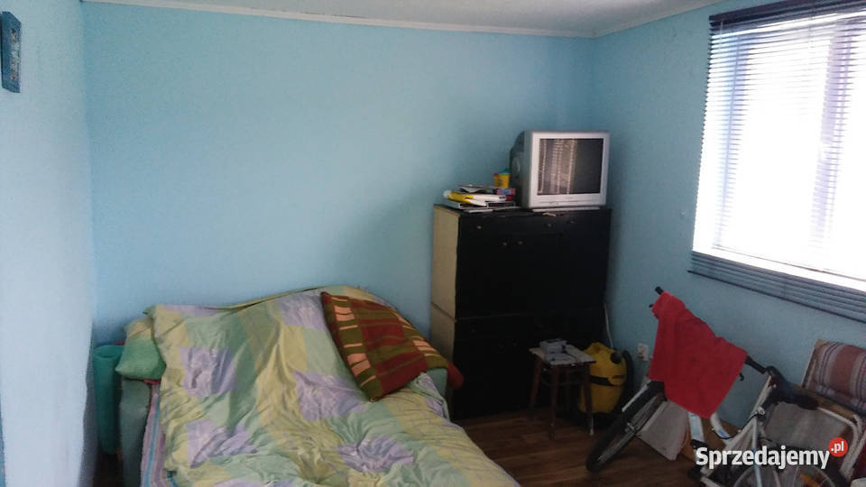 Działka ROD Złgotowska II z altaną Poznań