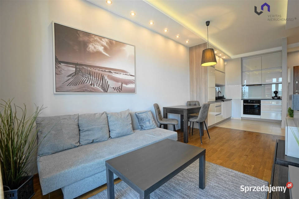 Mieszkanie 4044m2 2 pokoje Katowice Francuska